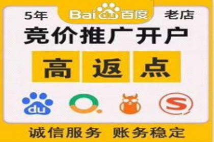 SEM运营中的数据分析和优化案例研究
